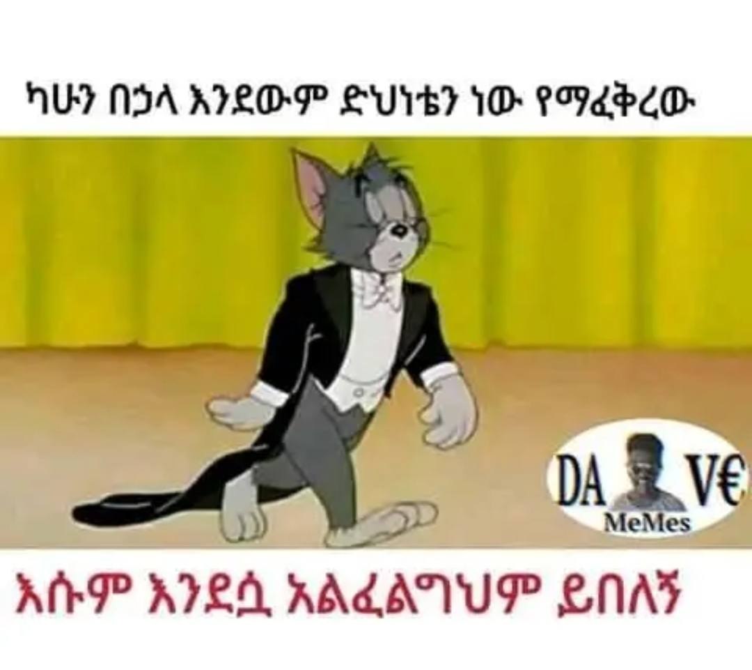 ካሁን በኃላ እንደውም ድህነቴን ነው የማፈቅረው እሱም እንደሷ አልፈልግህም ለ ፲ AUDA KILO SUTeT TO RoNaRCO- Ree nea KALI oe 7